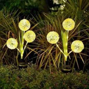 Solarflower