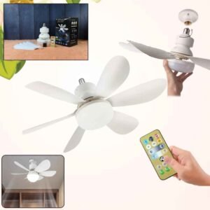 FAN