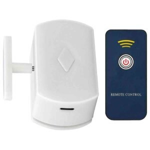 remote